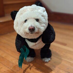 Pandaloon panda dog costume NWT size 4